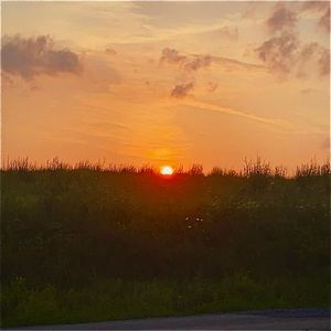 Meet your Posher, Avery